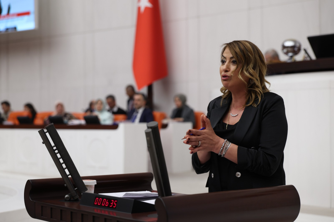 YILDIRIM KARA: “İSKENDERUN’DA AV SEZONU BİR HAFTA BİLE SÜRMEDİ”